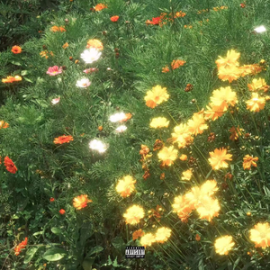 无码人妻一区二区三区在线欧洲
