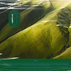 无码人妻一区二区三区在线欧洲
