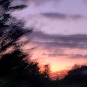 无码人妻一区二区三区在线欧洲
