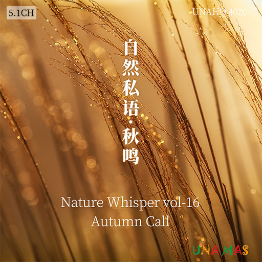 无码人妻一区二区三区在线欧洲
